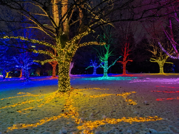 A photo taken in VanDusen Botanical Garden, Vancouver, British Columbia.